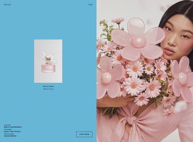 Daisy Sweet 预览