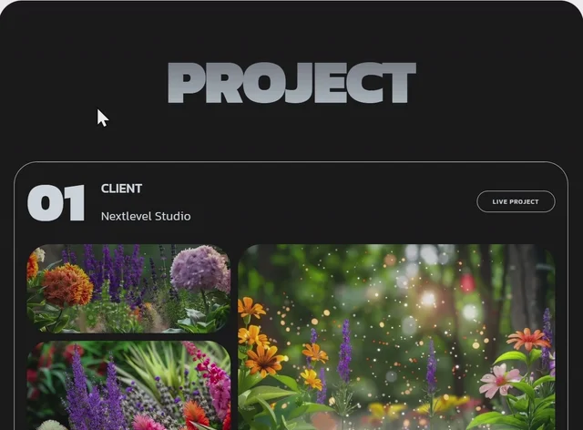 Projects Catalog 预览